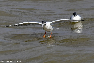 DSC_3045.JPG