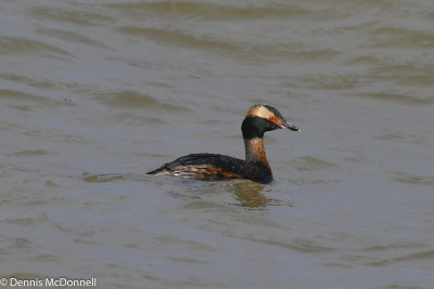 DSC_3058.JPG