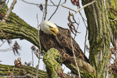 DSC_3493.JPG