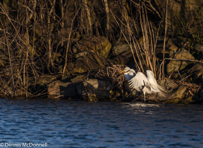 DSC_3775-2.JPG
