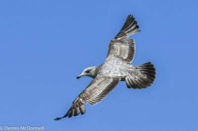 DSC_3844.JPG