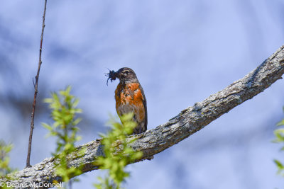 DSC_4863.JPG