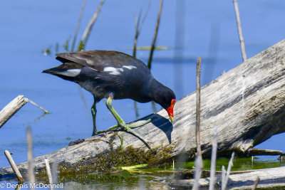 DSC_5033.JPG