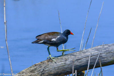 DSC_5045.JPG