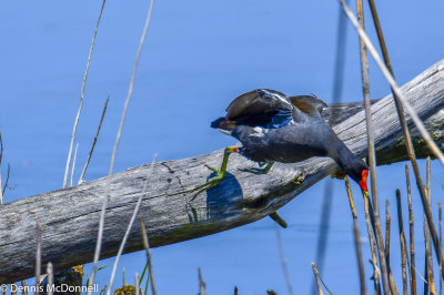 DSC_5054.JPG
