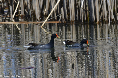 DSC_5077.JPG