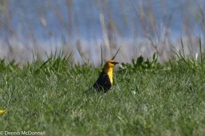 DSC_5546.JPG