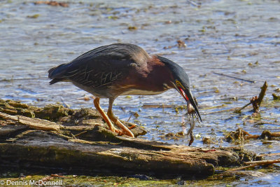 DSC_5650.JPG