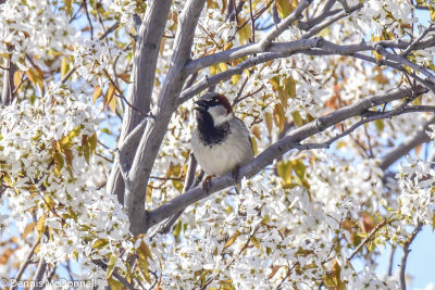DSC_5697.JPG