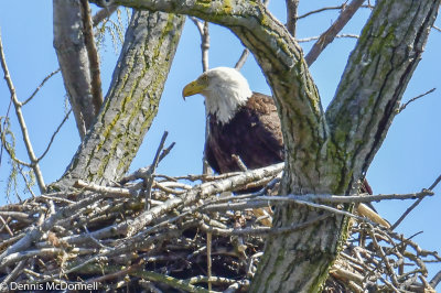 DSC_5419.JPG