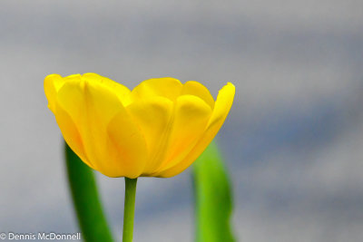 DSC_5707.jpg