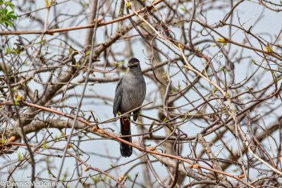 DSC_5708.jpg