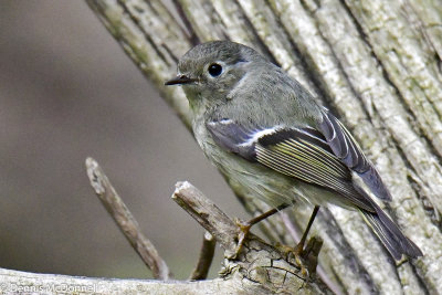 DSC_6912.JPG