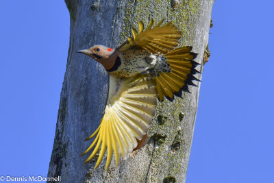 DSC_9260.JPG
