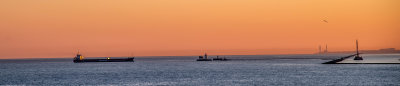 DMD_0645.jpg