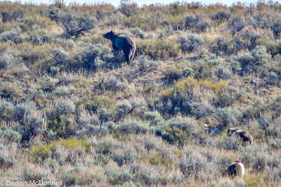 DSC_4762.jpg