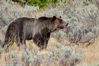 DSC_4904.jpg