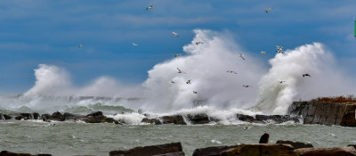 DSC_5213.JPG