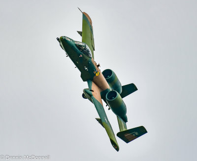 DSC_7041.jpg