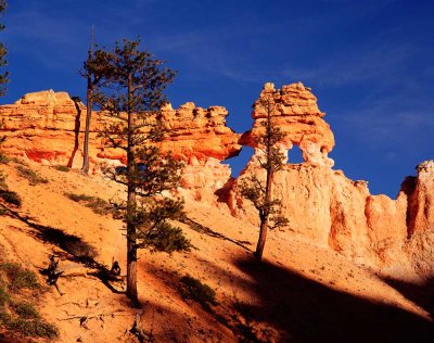 bryce_canyon_national_park