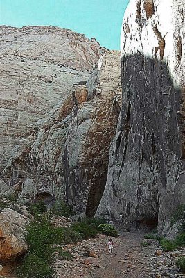 capital_reef_national_park