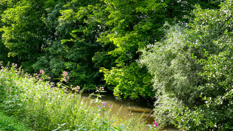 along the canal