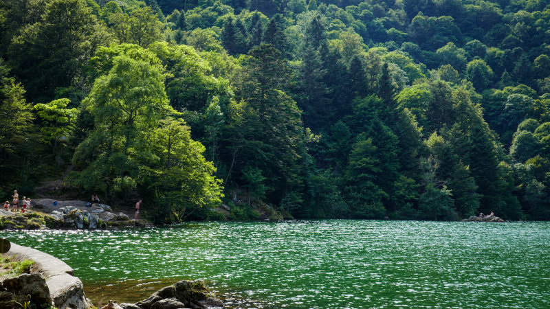 le  lac des Perches