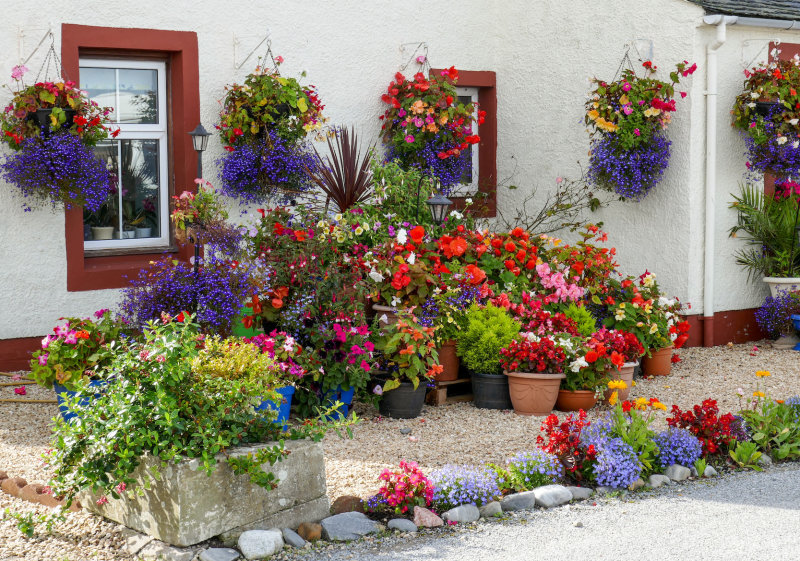 flowered house, Cromarty