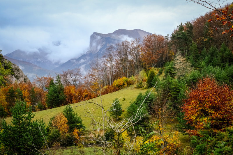 Vallon de la Toussire