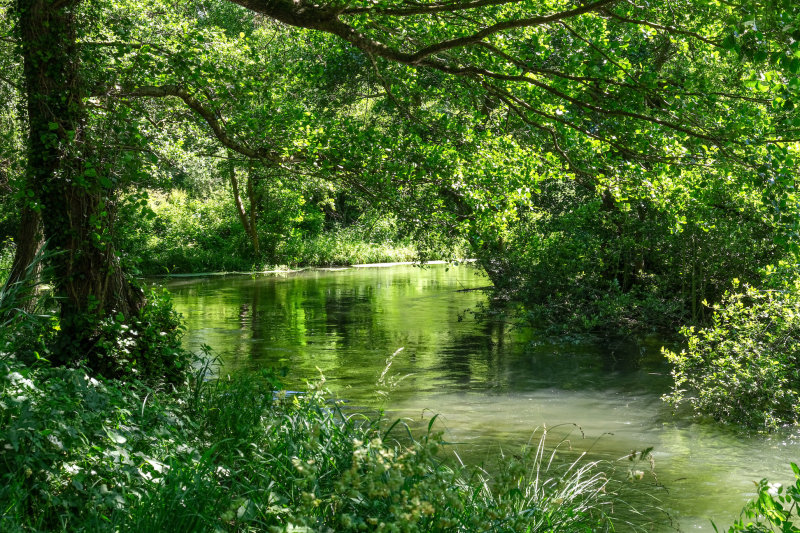 EU - Ponts et marais