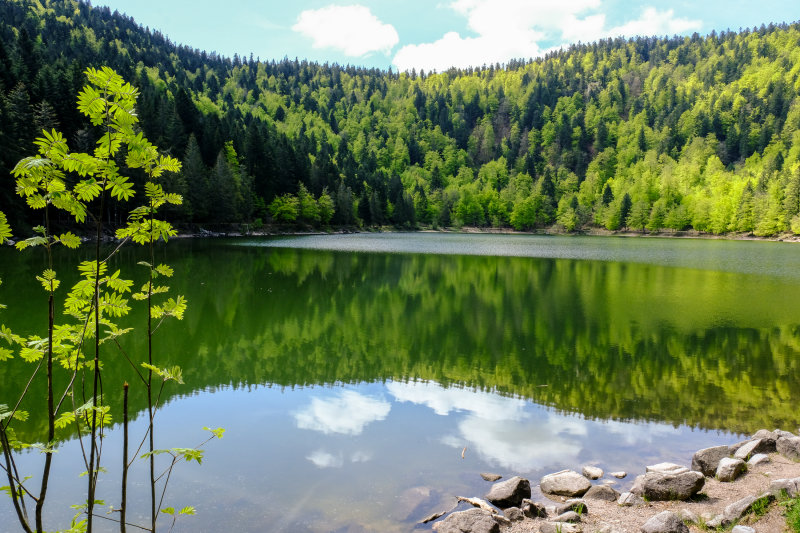 le lac des corbeaux, La Bresse