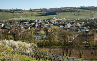 Le printemps à Soultz les bains