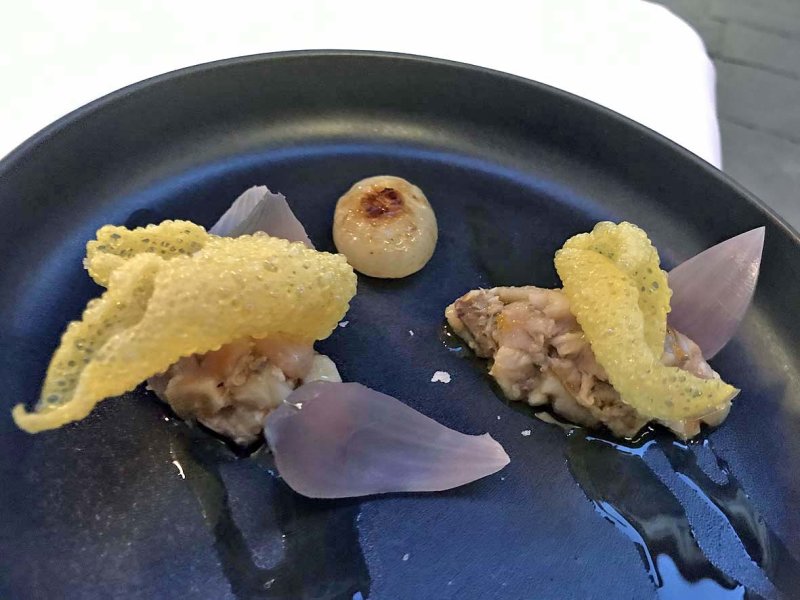 Ricciola tartare marinated in citrus fruits, Mugolone Ristorante, Siena - 3714