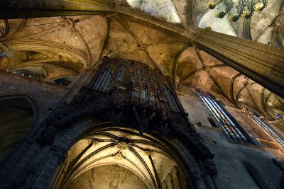 Barcelona Cathedral - 0151