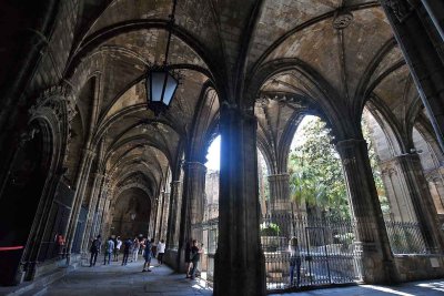 Barcelona Cathedral Cloister - 0189