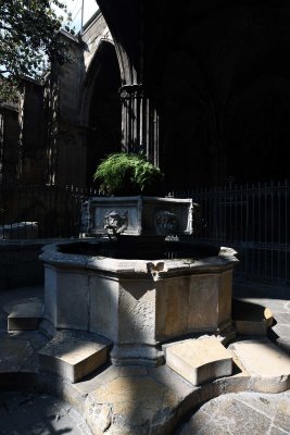 Barcelona Cathedral Cloister - 0205