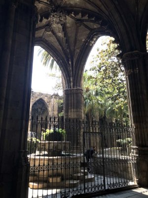 Barcelona Cathedral Cloister - 2525