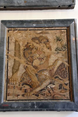 Leon e leopardo - Casa della colomba a mosaico, Pompeii - 4278