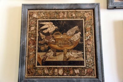 Casa della colomba a mosaico, Pompeii -4279