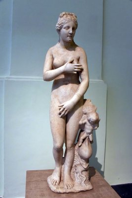 Aphrodite Dresden-capitoline type - 2nd c. AD copy of a Greek original - 4414