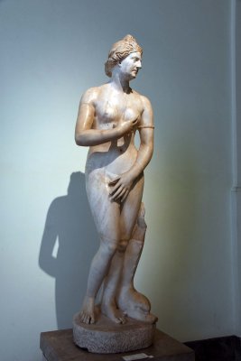 Capitoline-type Aphrodite with portrait head - 1st c. AD copy of a Greek original of the 3rd-2nd c. BC - 4425