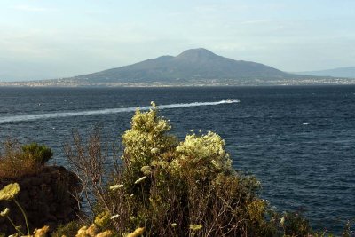 View of Vesuvio from Sorrento - 5781