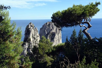 Faraglioni di Capri seen from Pizzolungo trail - 6172