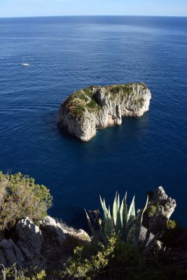 Faraglioni di Capri seen from Pizzolungo trail - 6188