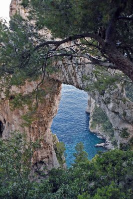 Arco Naturale - 6248