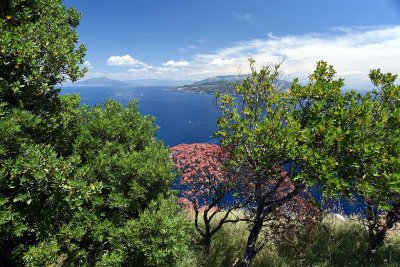Sorrento peninsula view from Villa Jovis - 6501