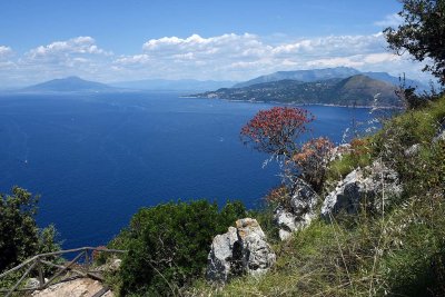 Vesuvio and Sorrento peninsula view from Villa Jovis - 6548