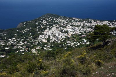 Anacapri seen from Monte Solaro - 6893