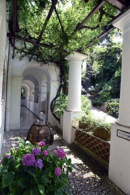 Villa San Michele, Anacapri - 6963