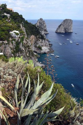 Faraglioni di Capri - 7294